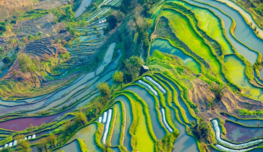 走进成华区TVC拍摄：解锁本地化场景与创意镜头的完美融合