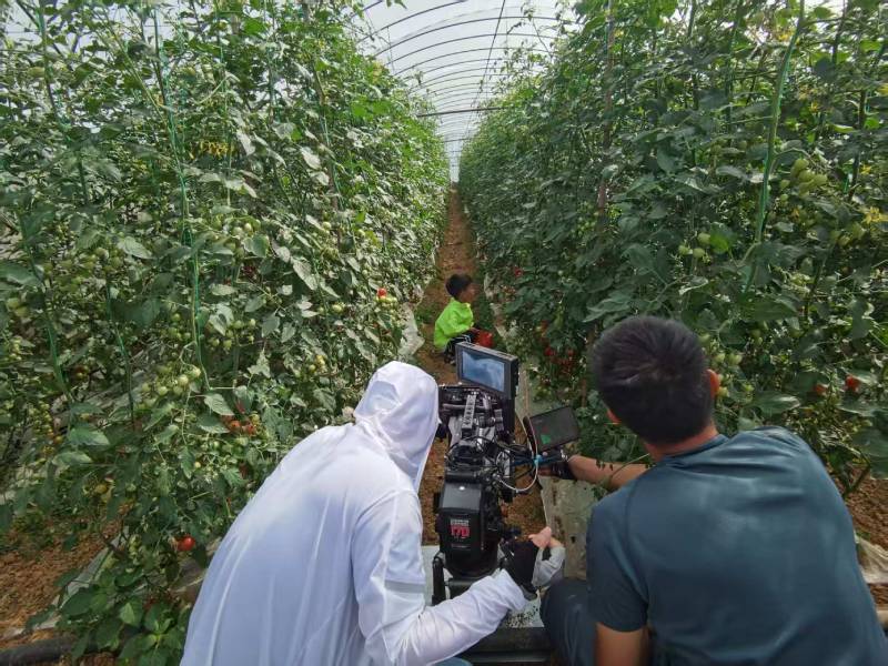 高效落地，成华区TVC拍摄公司助力品牌抢占市场先机